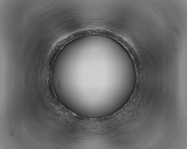 X0000112050920200908040946
