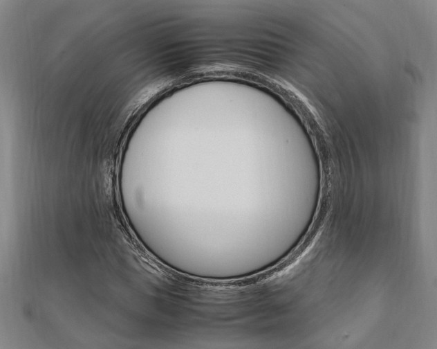 X0000112050921200908040946