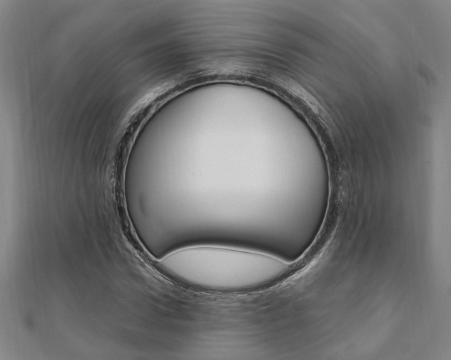 X0000112050922200908040946