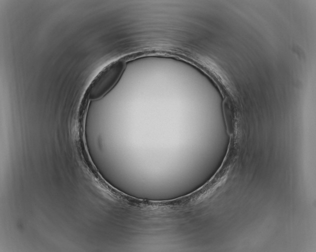 X0000112050924200908040947