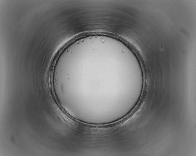 X0000112050925200908040947