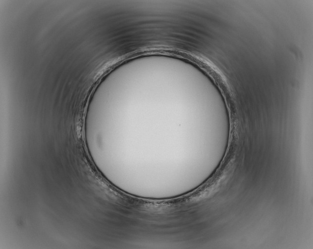 X0000112050929200908040947