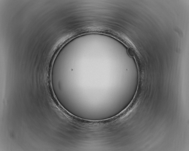 X0000112050930200908040947