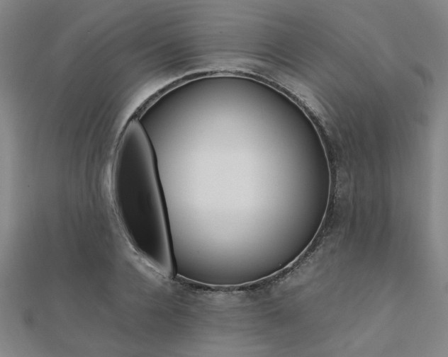 X0000112050936200908040947
