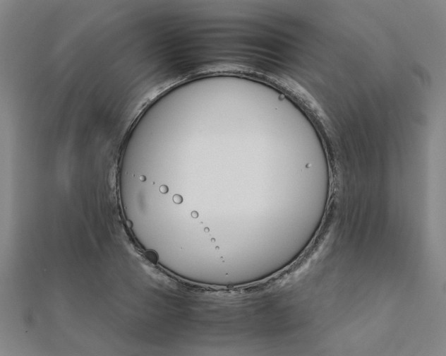 X0000112050937200908040947