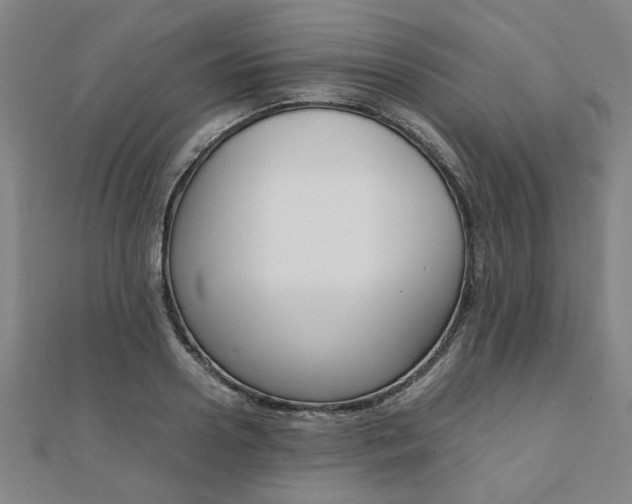 X0000112050938200908040947