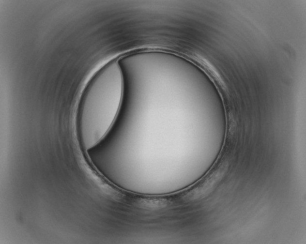 X0000112050939200908040947