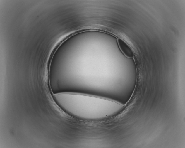 X0000112050940200908040947