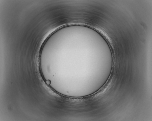 X0000112050941200908040947