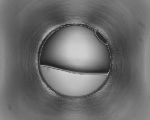 X0000112050942200908040947