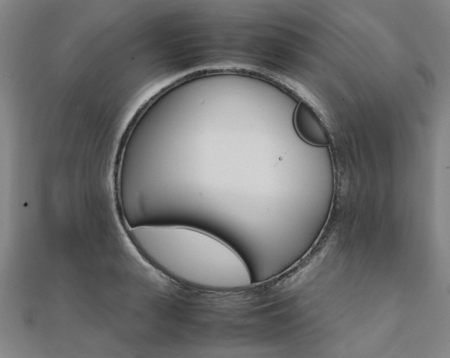 X0000112050943200908040947