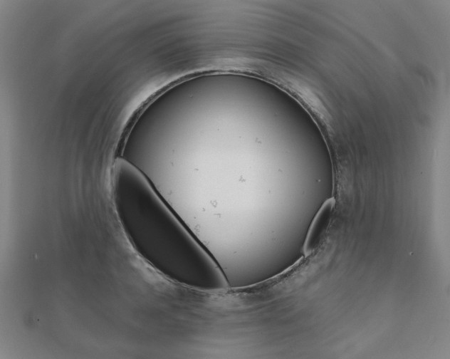 X0000112050944200908040947