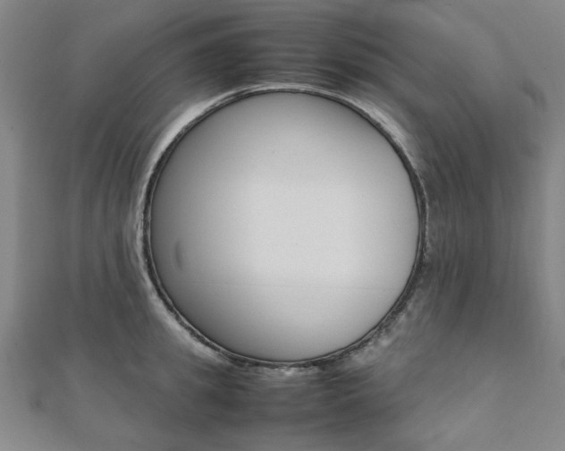 X0000112050949200908040947