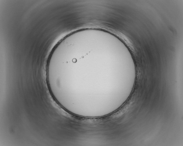 X0000112050950200908040947