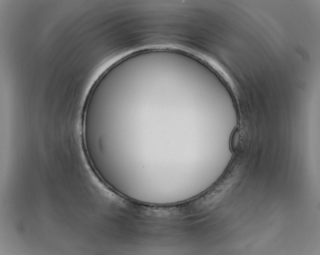 X0000112050951200908040947