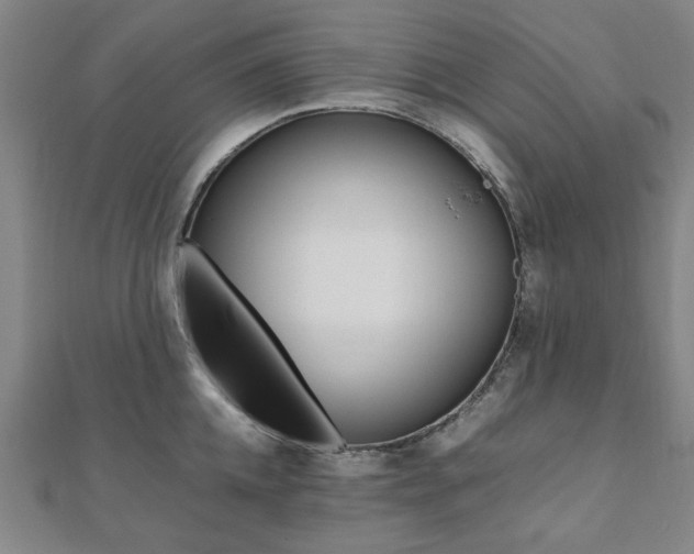 X0000112050952200908040947