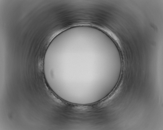 X0000112050953200908040947