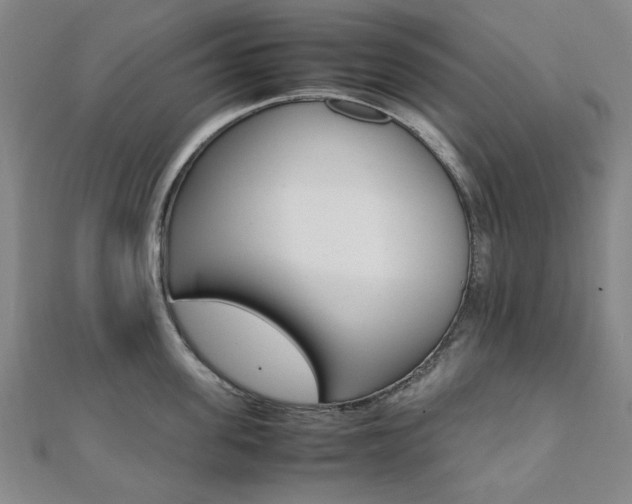 X0000112050955200908040947