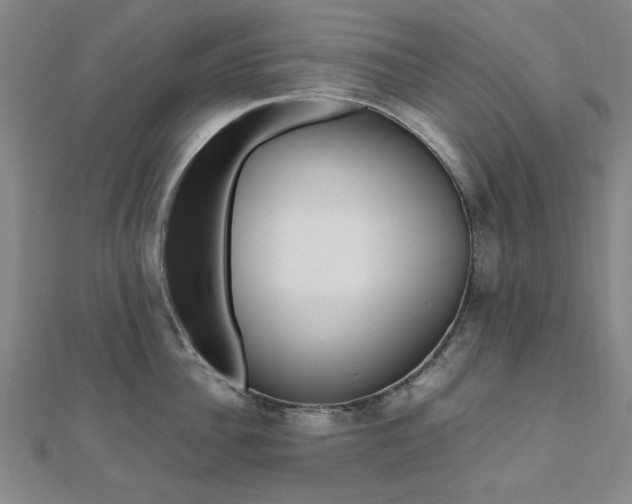 X0000112050956200908040947