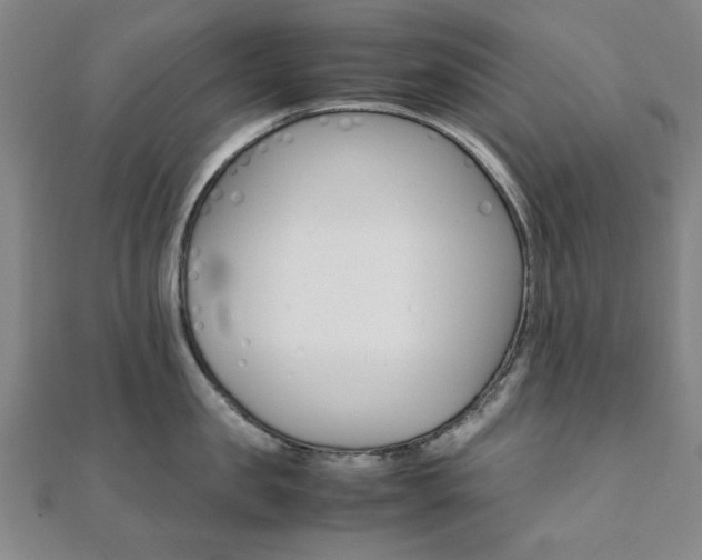 X0000112050957200908040947
