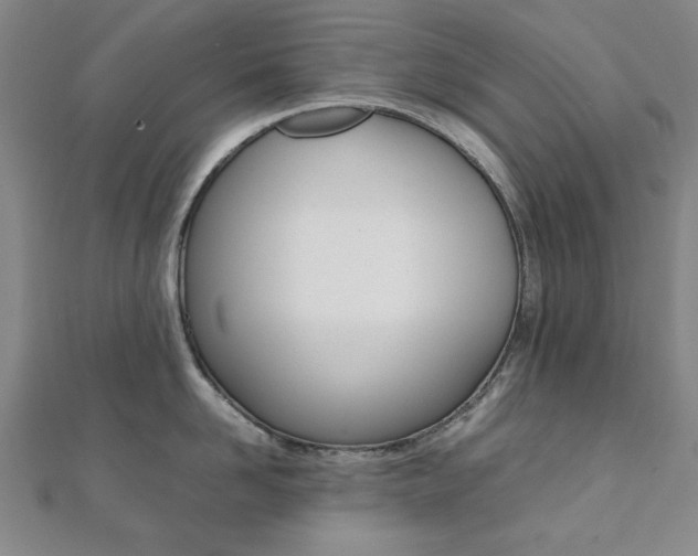 X0000112050958200908040947