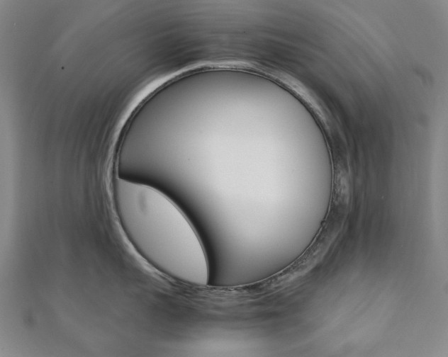 X0000112050959200908040947