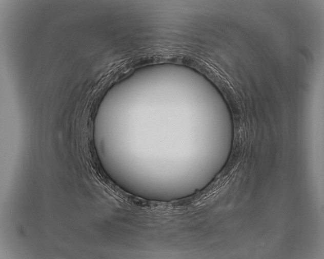 X0000112050961200908040946