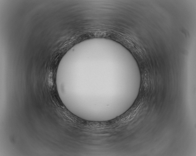 X0000112050962200908040946