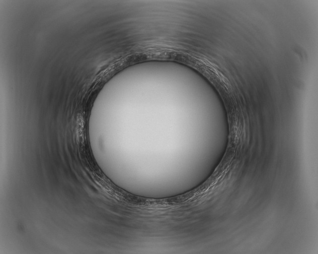 X0000112050964200908040946