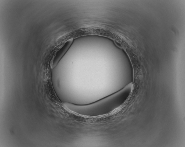 X0000112050965200908040946