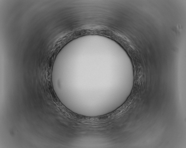 X0000112050966200908040946