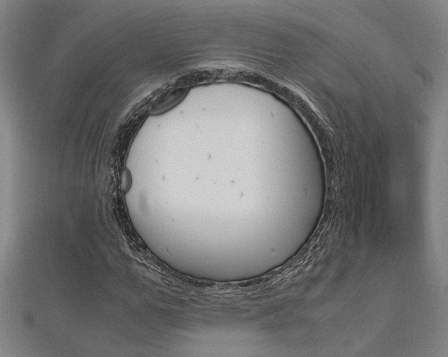 X0000112050967200908040946