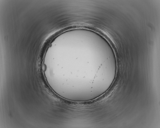 X0000112050971200908040946