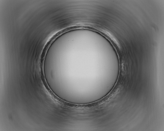 X0000112050972200908040946