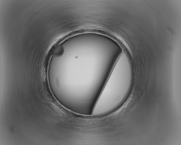 X0000112050973200908040946