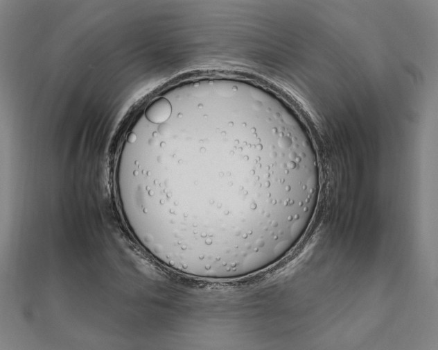 X0000112050974200908040946