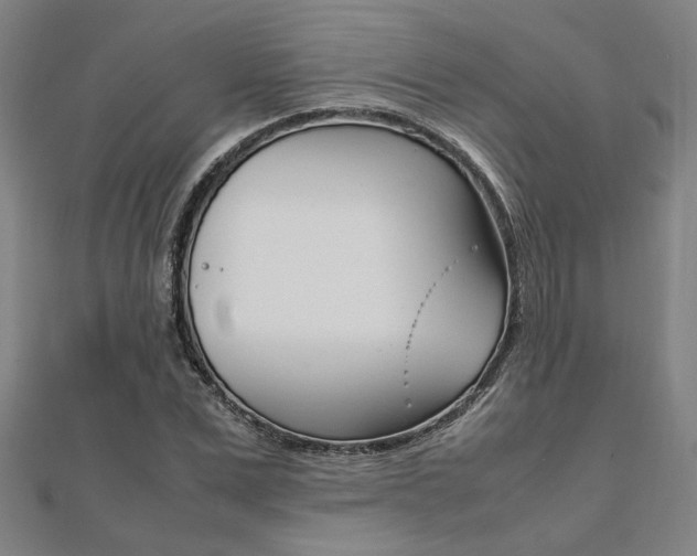 X0000112050975200908040946