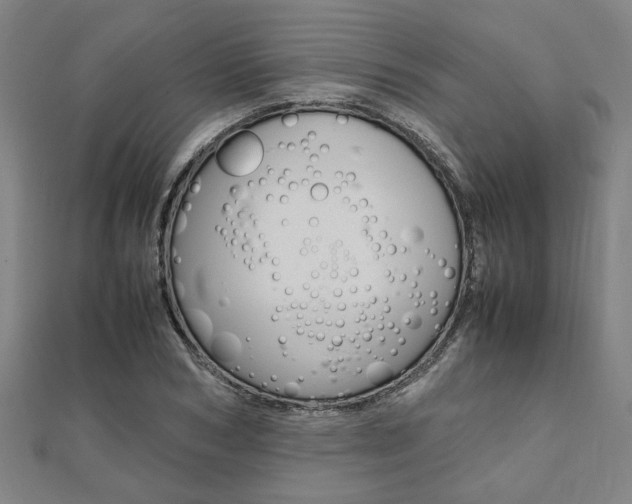 X0000112050978200908040946