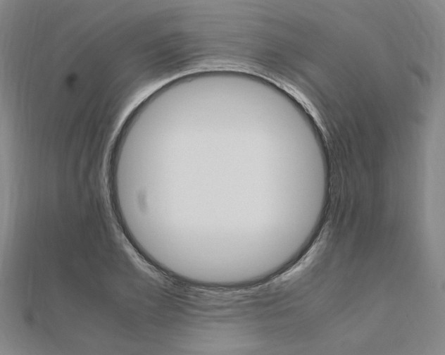 X0000112050981200908040946