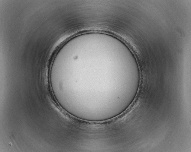 X0000112050982200908040946