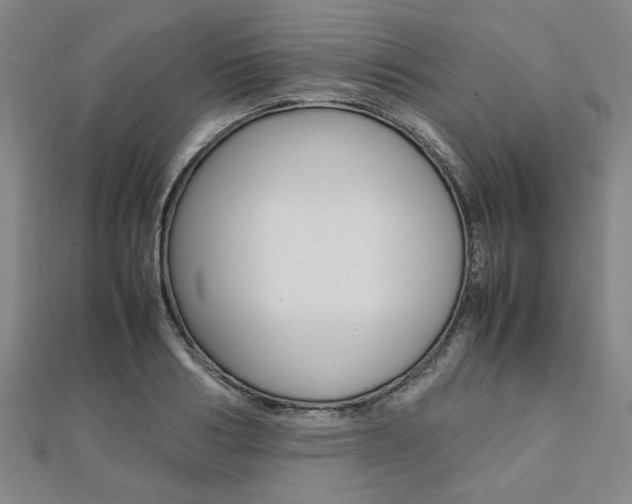 X0000112050986200908040946