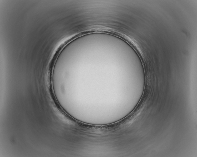 X0000112050987200908040946