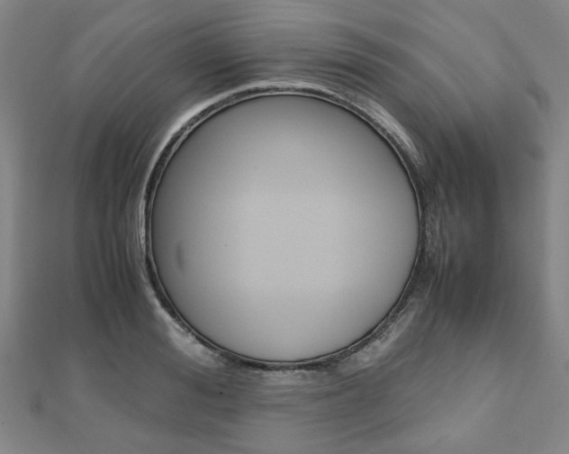X0000112050988200908040946