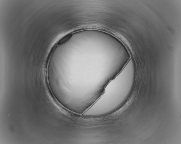 X0000112050989200908040946