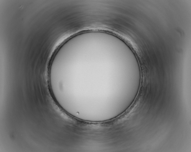 X0000112050990200908040946