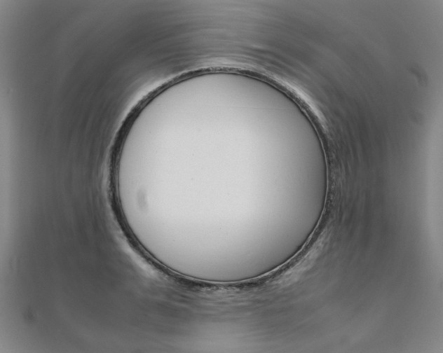 X0000112050991200908040946