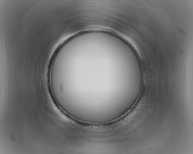 X0000112050995200908040946