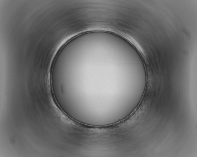 X0000112050996200908040946