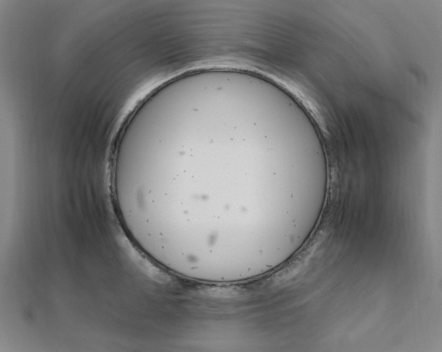 X0000112050998200908040946