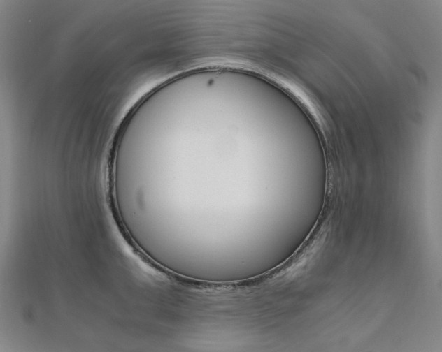 X0000112050999200908040946